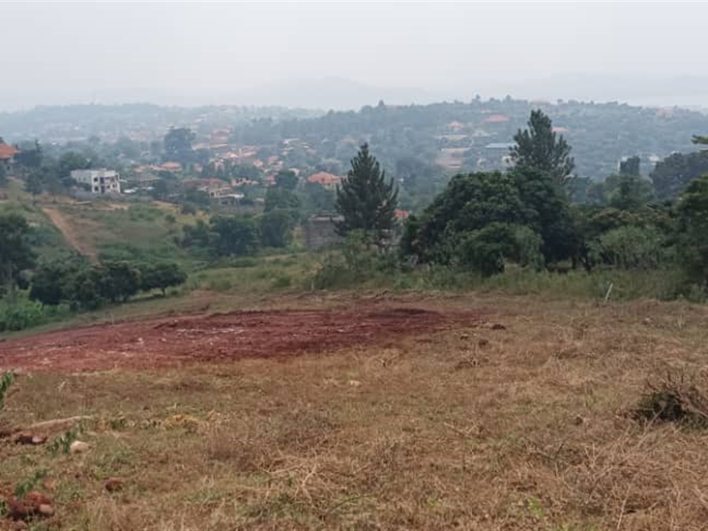 Residential land for sale in Lutembe Wakiso Uganda