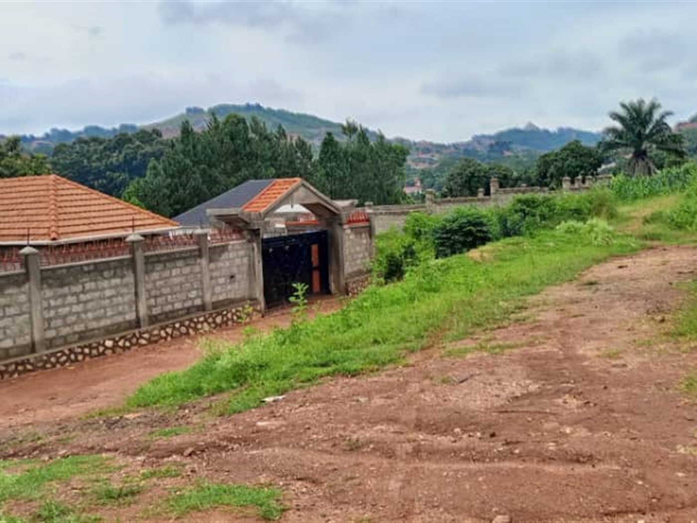 Residential land for sale in Lutembe Wakiso Uganda