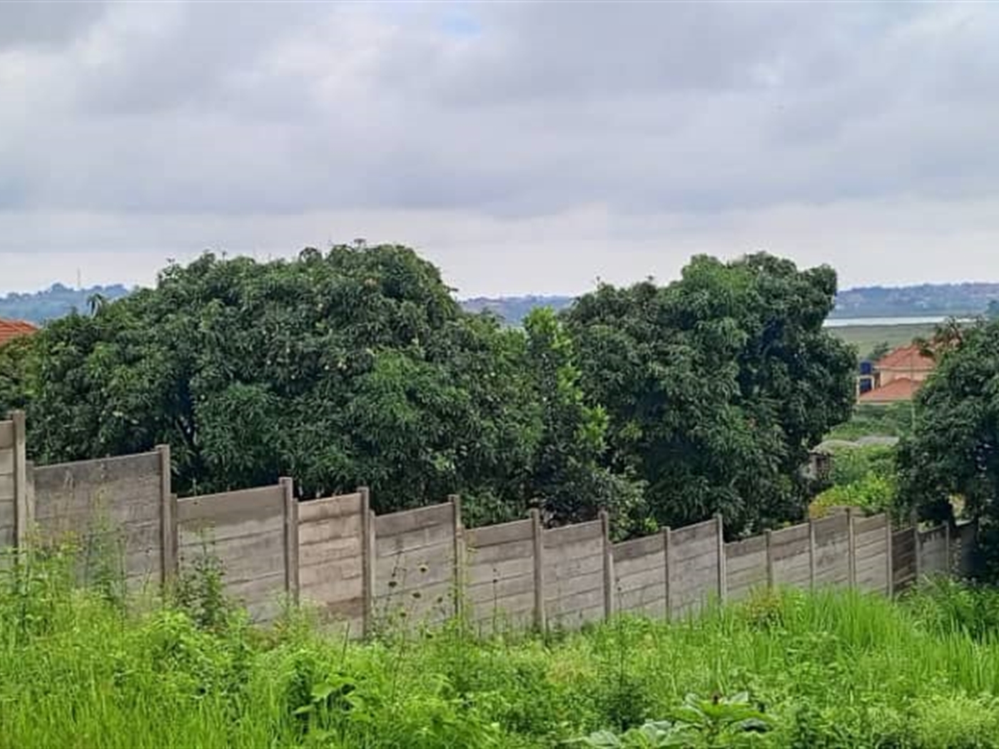 Residential land for sale in Lutembe Wakiso Uganda
