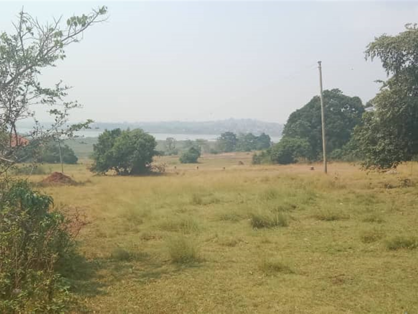 Residential land for sale in Lutembe Wakiso Uganda