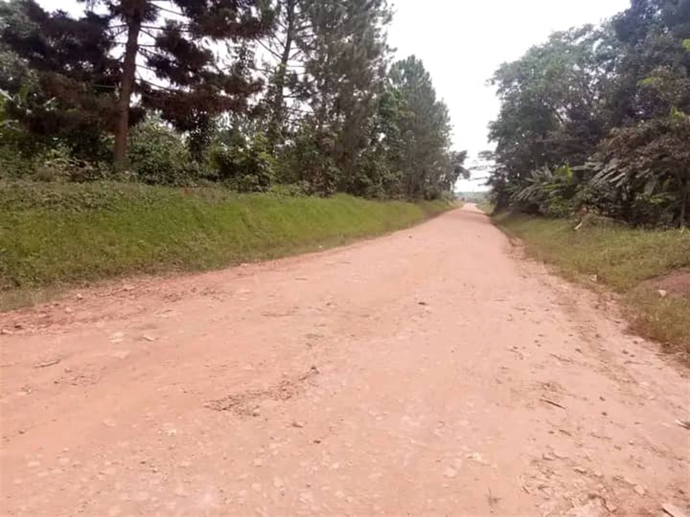Residential land for sale in Katale Wakiso Uganda
