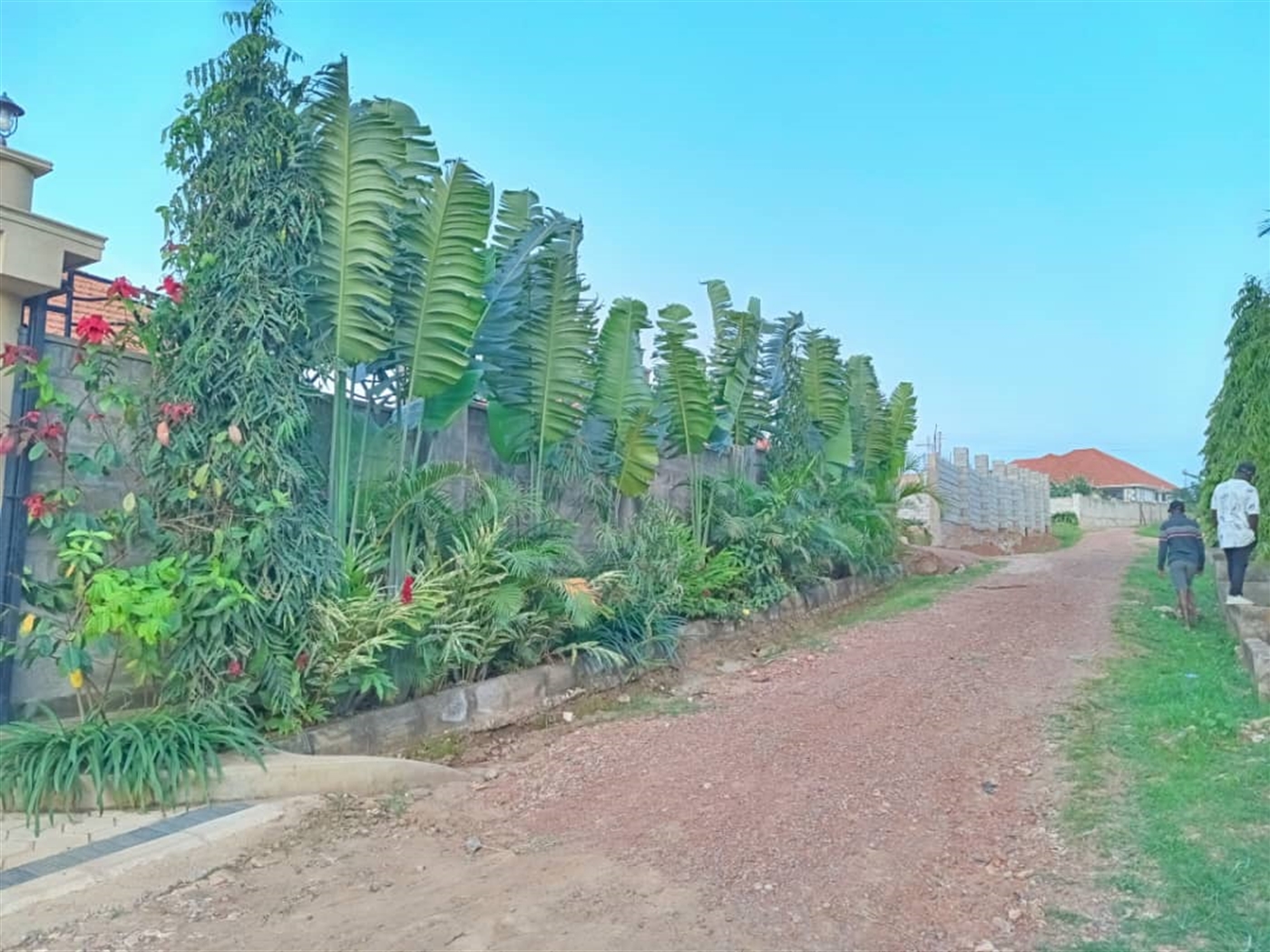 Residential land for sale in Najjera Wakiso Uganda