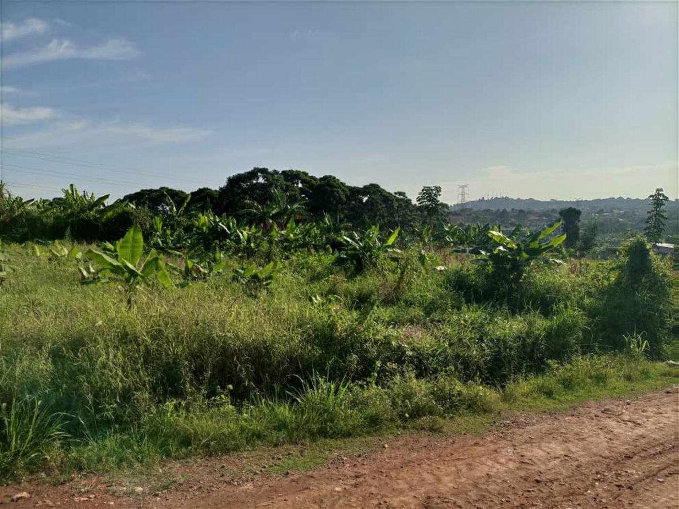Residential land for sale in Najjera Wakiso Uganda
