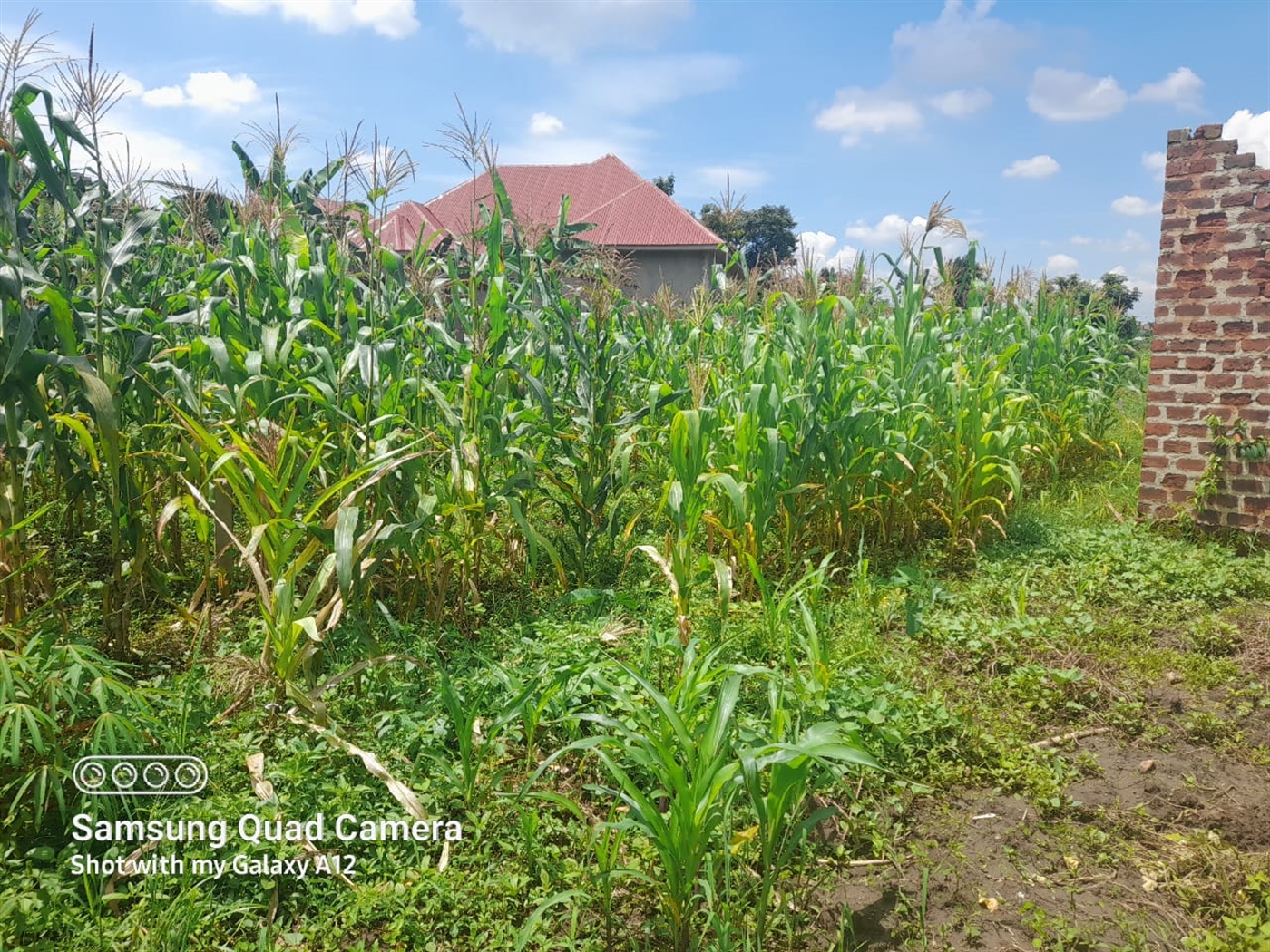 Residential land for sale in Gayaza Wakiso Uganda