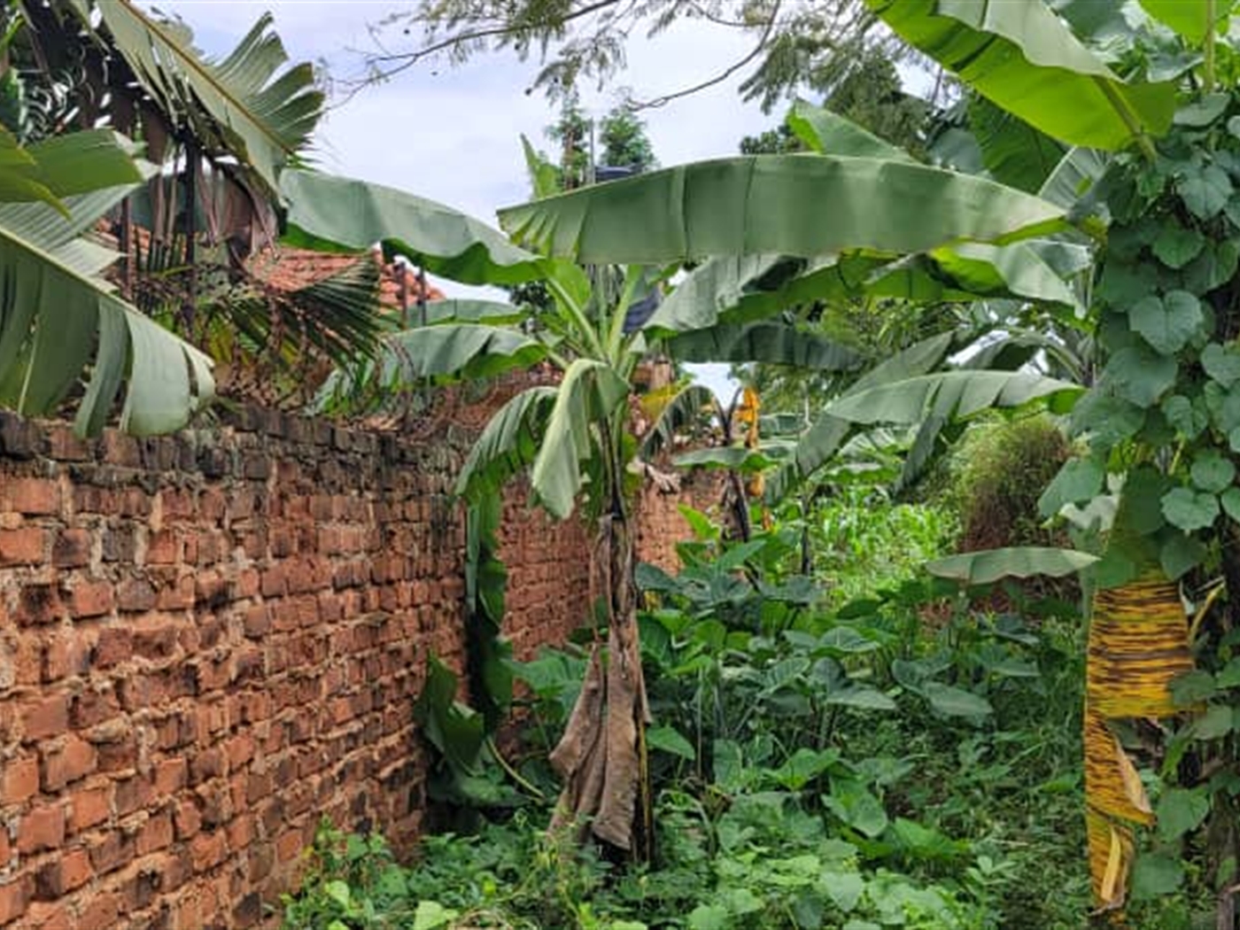 Residential land for sale in Najjera Wakiso Uganda