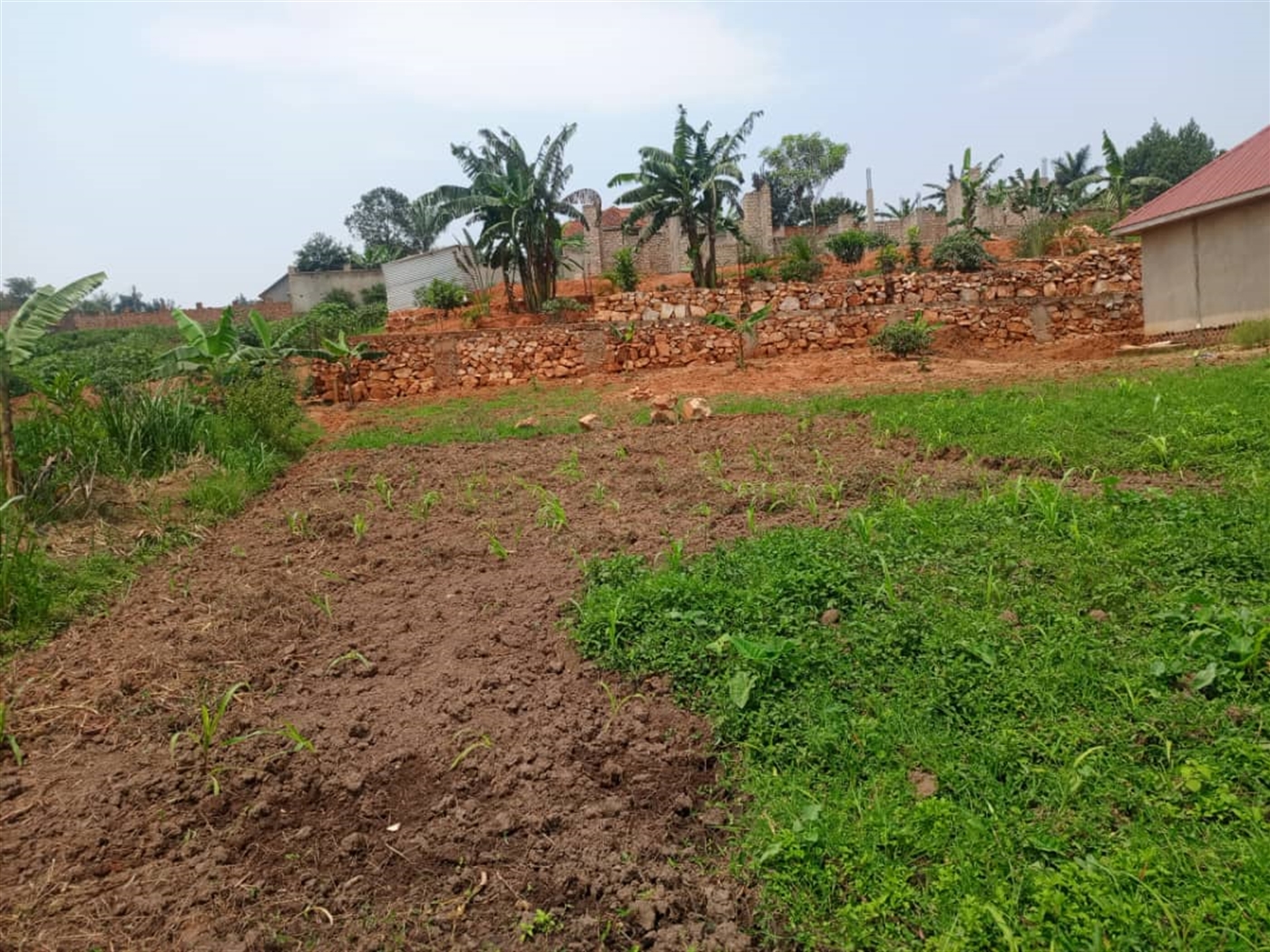 Residential land for sale in Gayaza Wakiso Uganda
