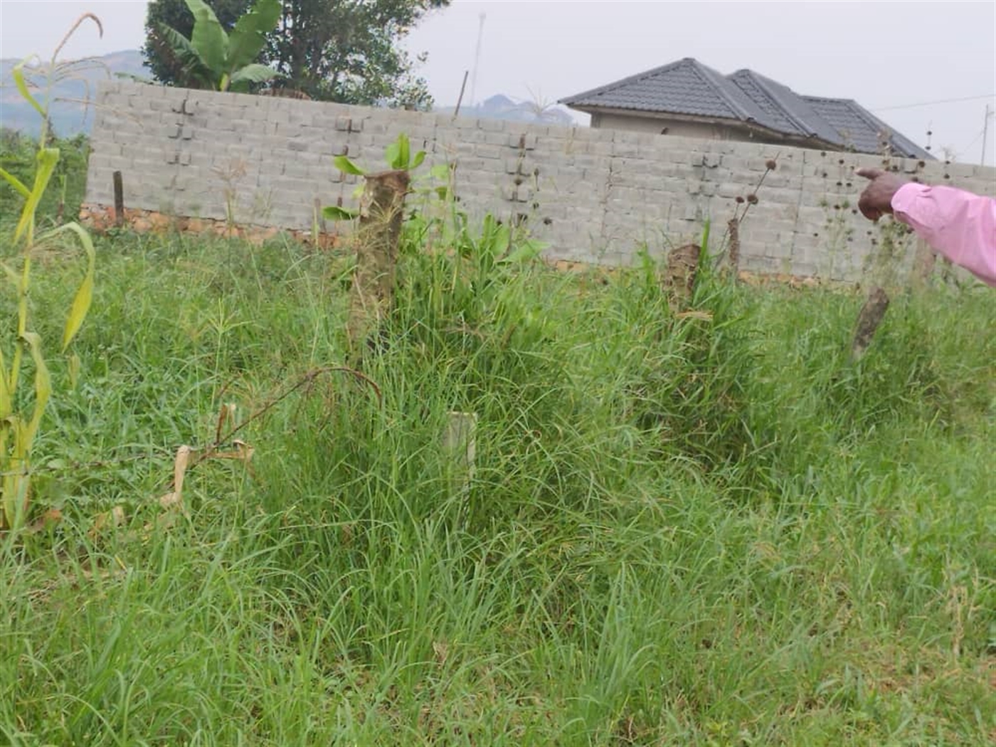 Residential land for sale in Gayaza Wakiso Uganda
