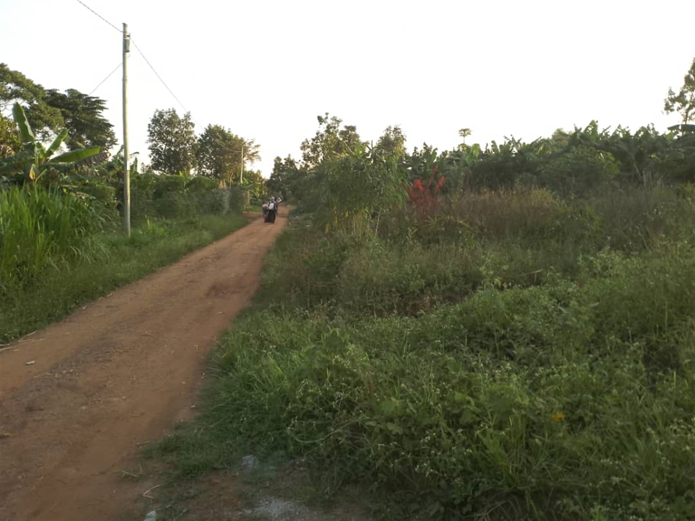 Residential land for sale in Gayaza Wakiso Uganda