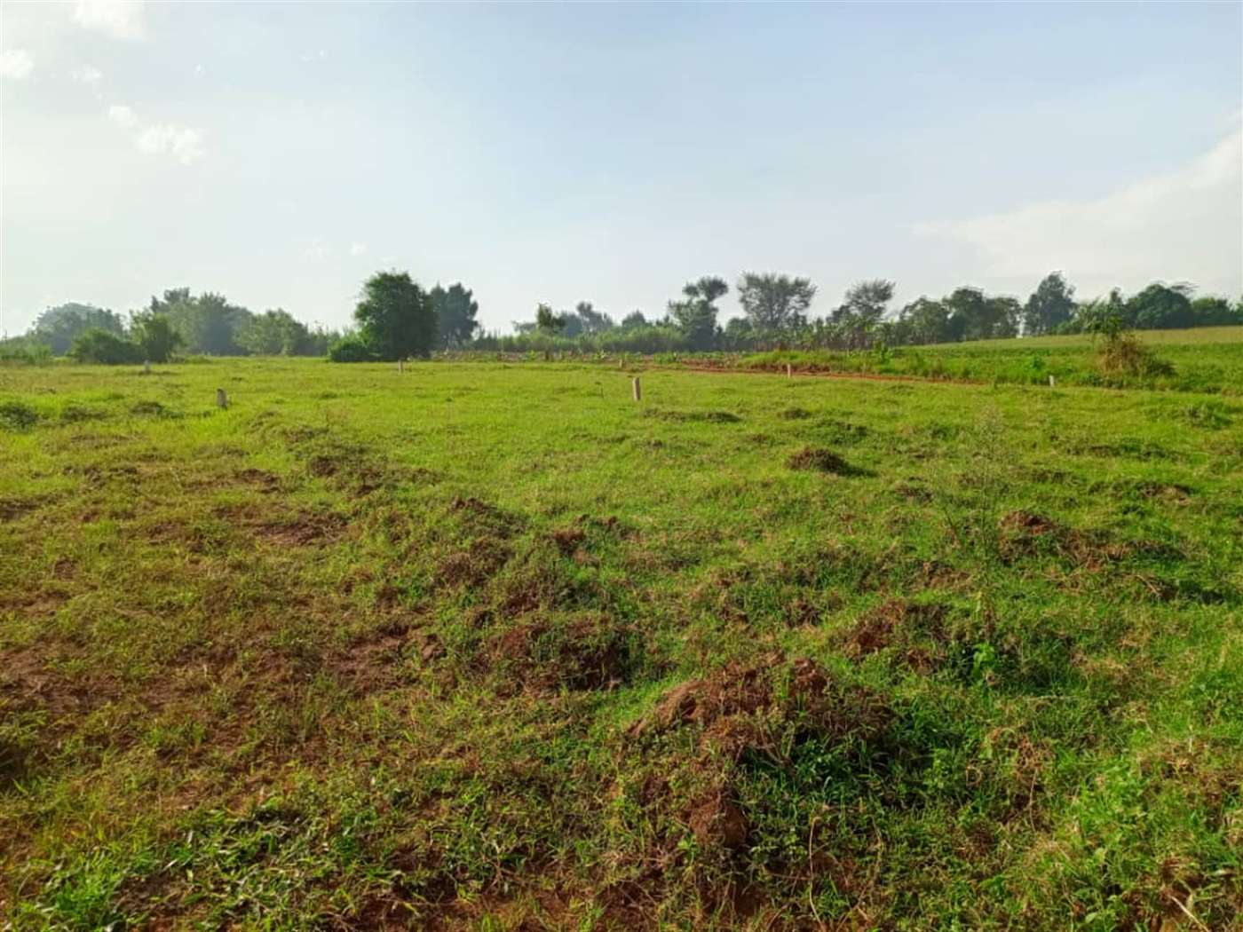 Residential land for sale in Gayaza Wakiso Uganda