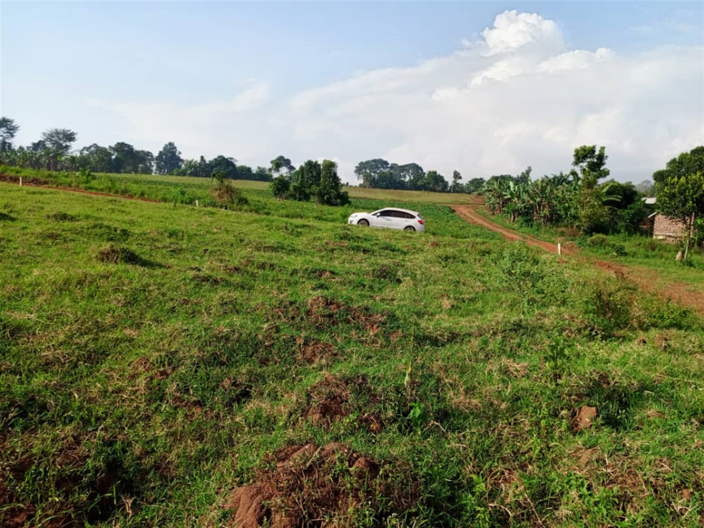 Residential land for sale in Gayaza Wakiso Uganda