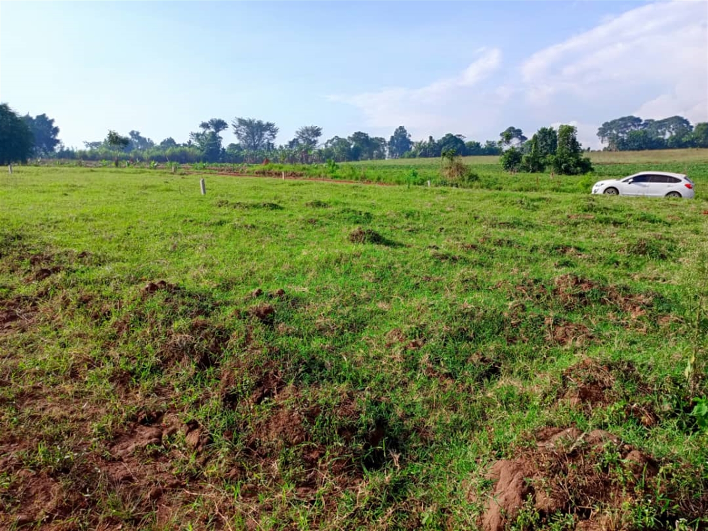 Residential land for sale in Gayaza Wakiso Uganda