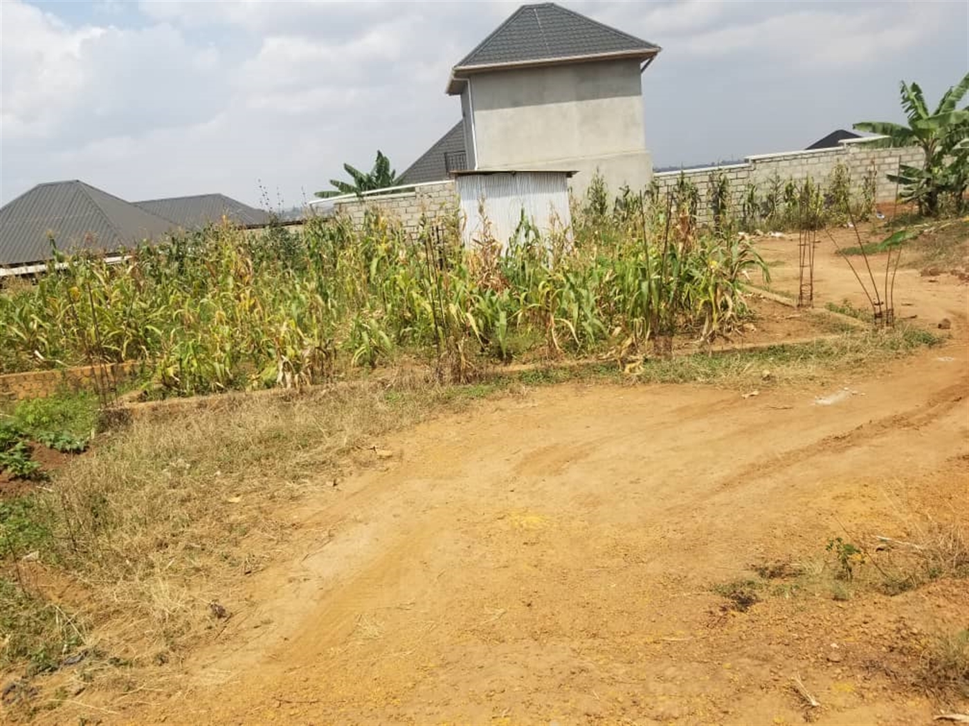 Residential land for sale in Gayaza Wakiso Uganda