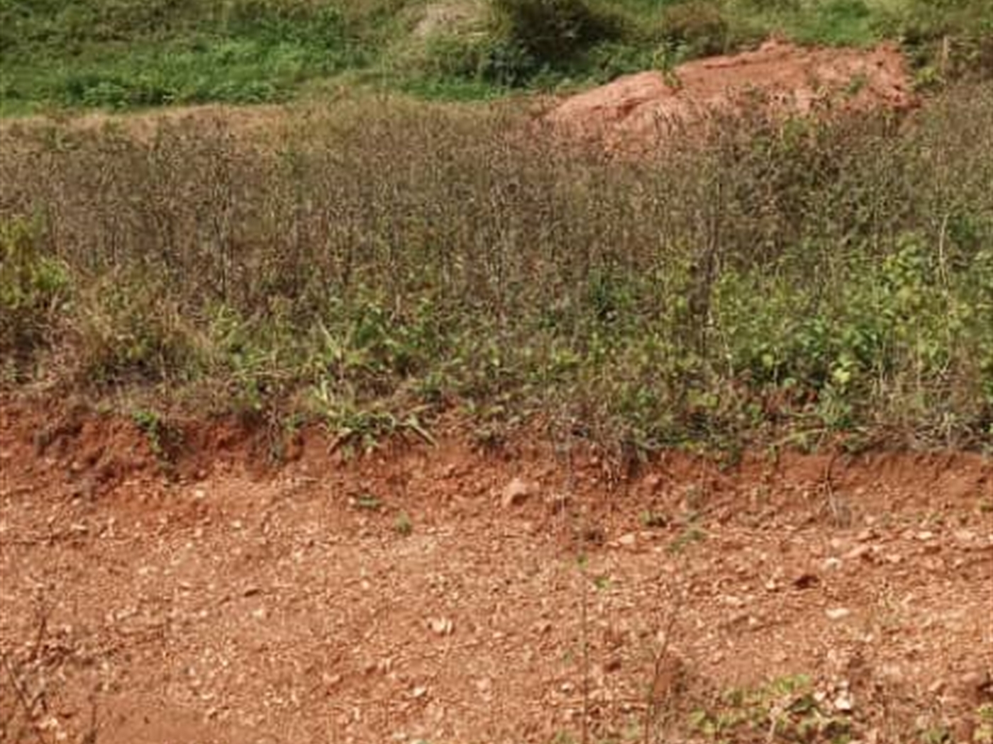 Residential land for sale in Gayaza Wakiso Uganda