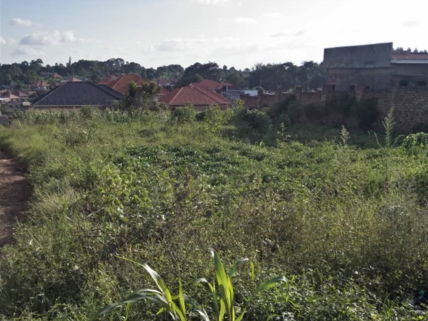 Residential land for sale in Gayaza Wakiso Uganda