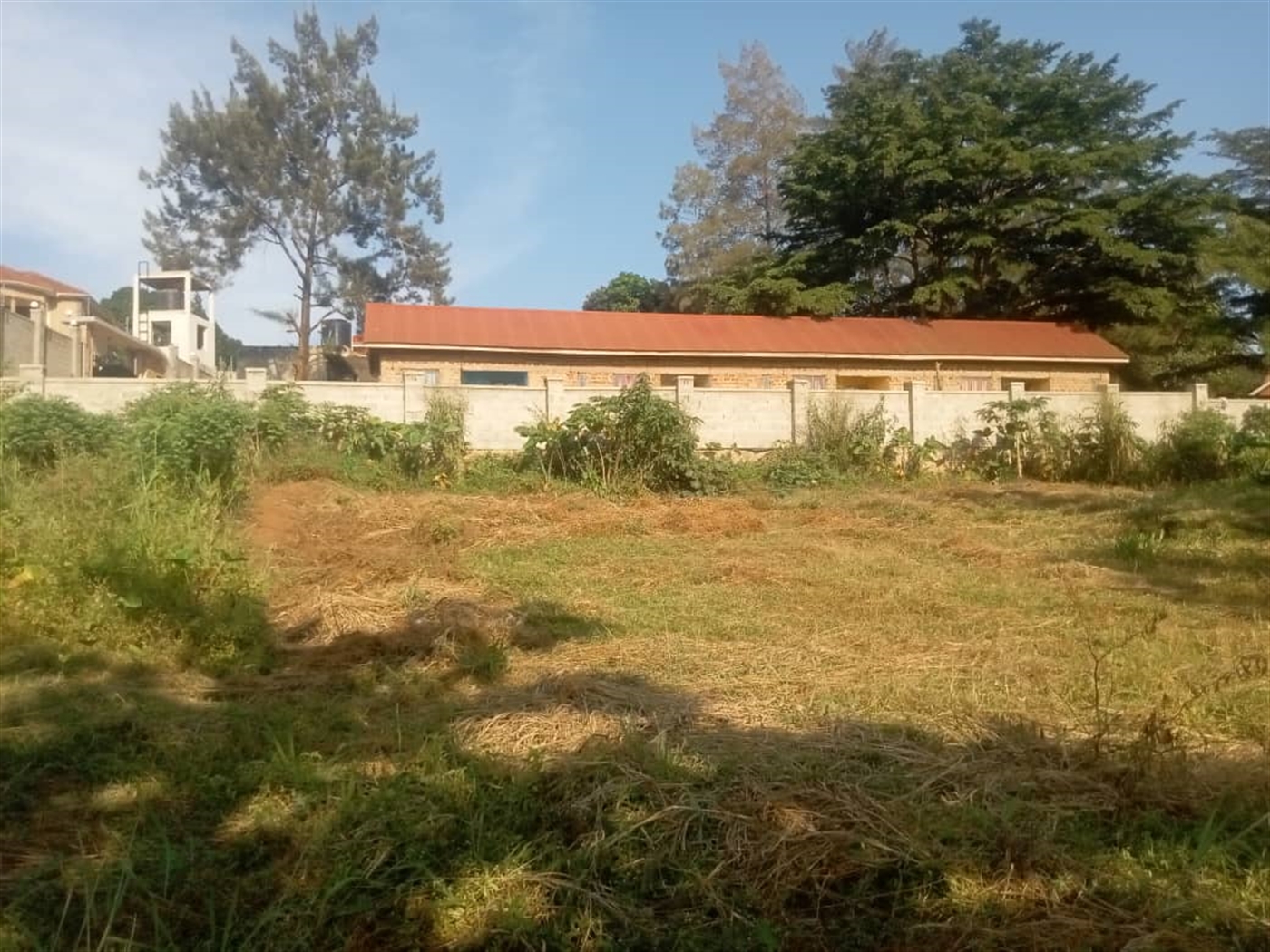 Residential land for sale in Gayaza Wakiso Uganda