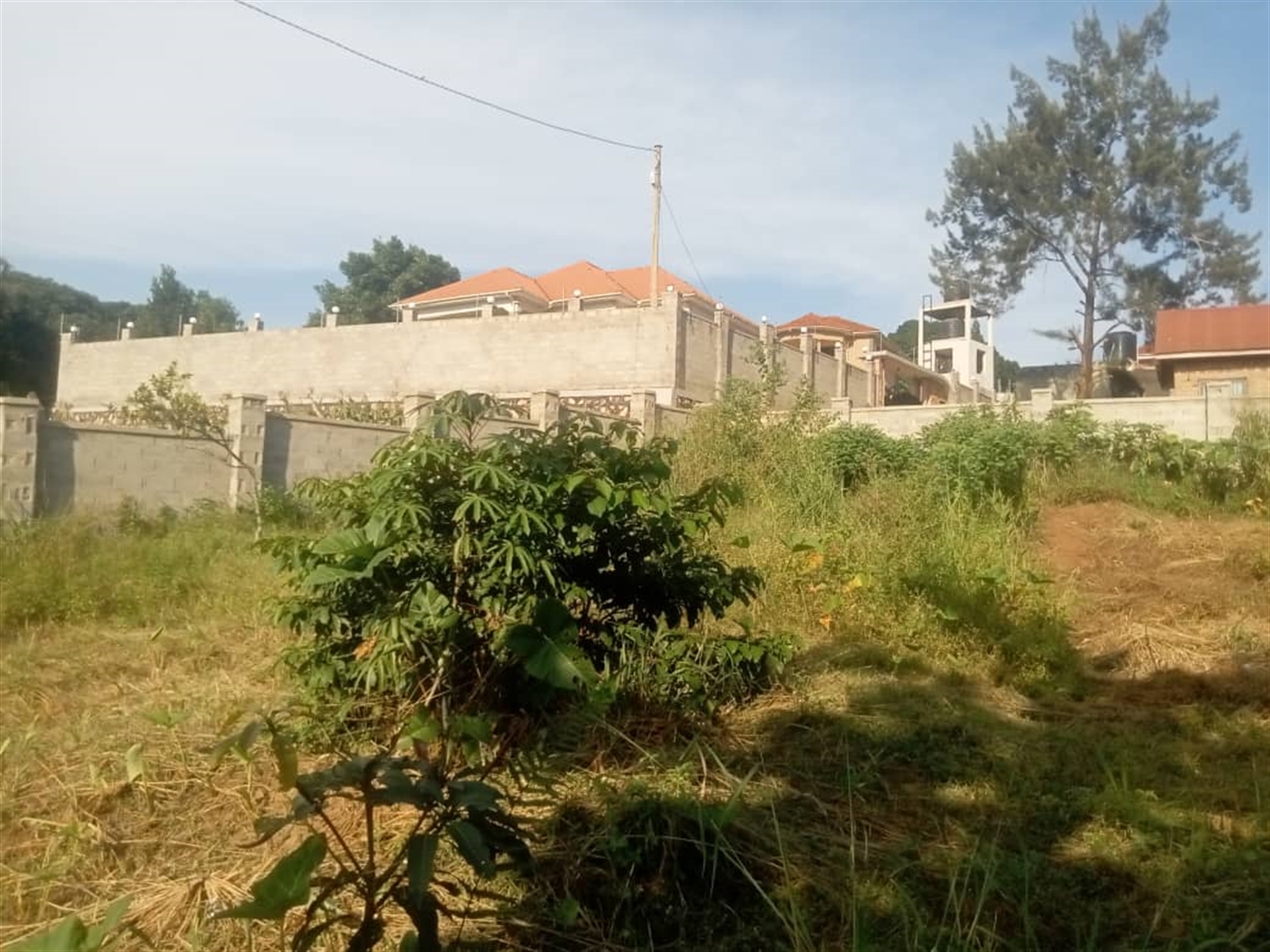 Residential land for sale in Gayaza Wakiso Uganda