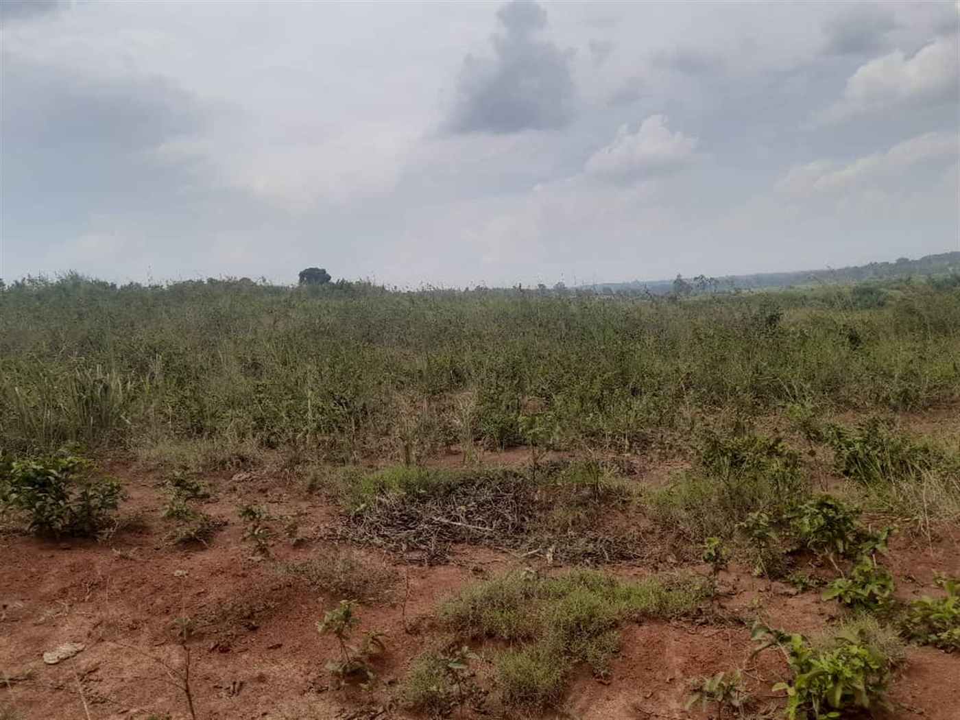 Residential land for sale in Gayaza Wakiso Uganda