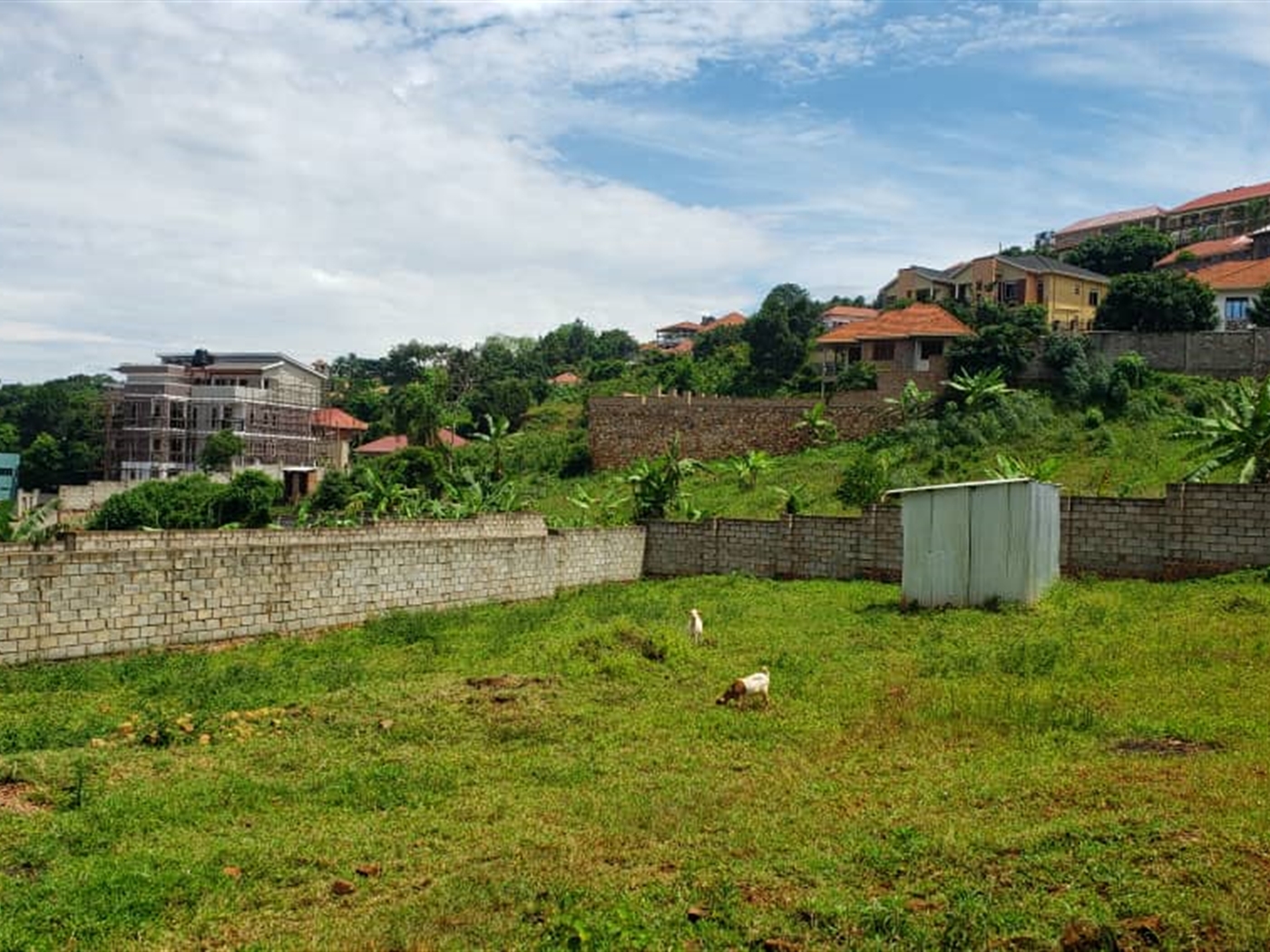 Residential land for sale in Bwebajja Wakiso Ugand...