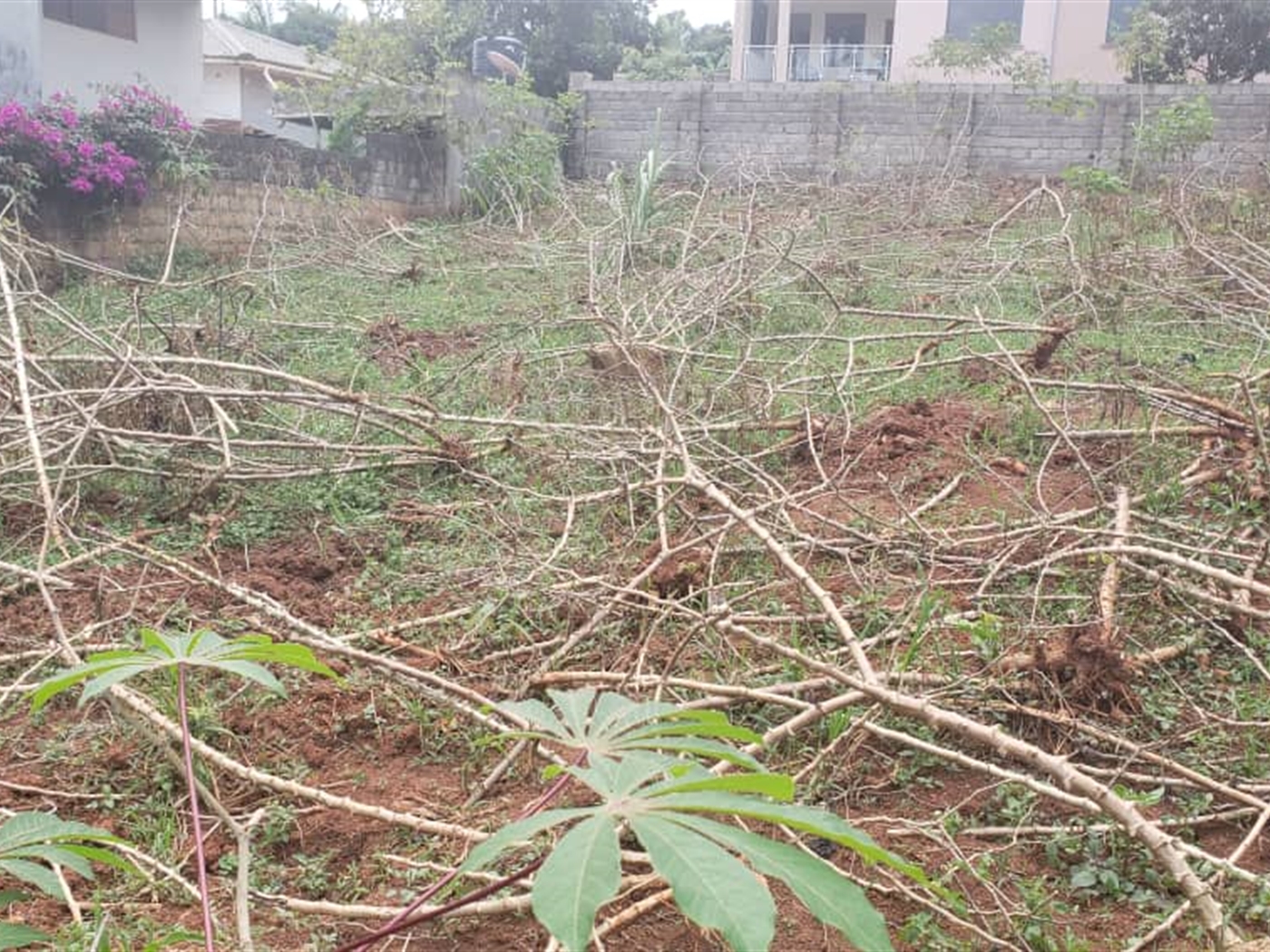 Residential land for sale in Bwebajja Wakiso Ugand...