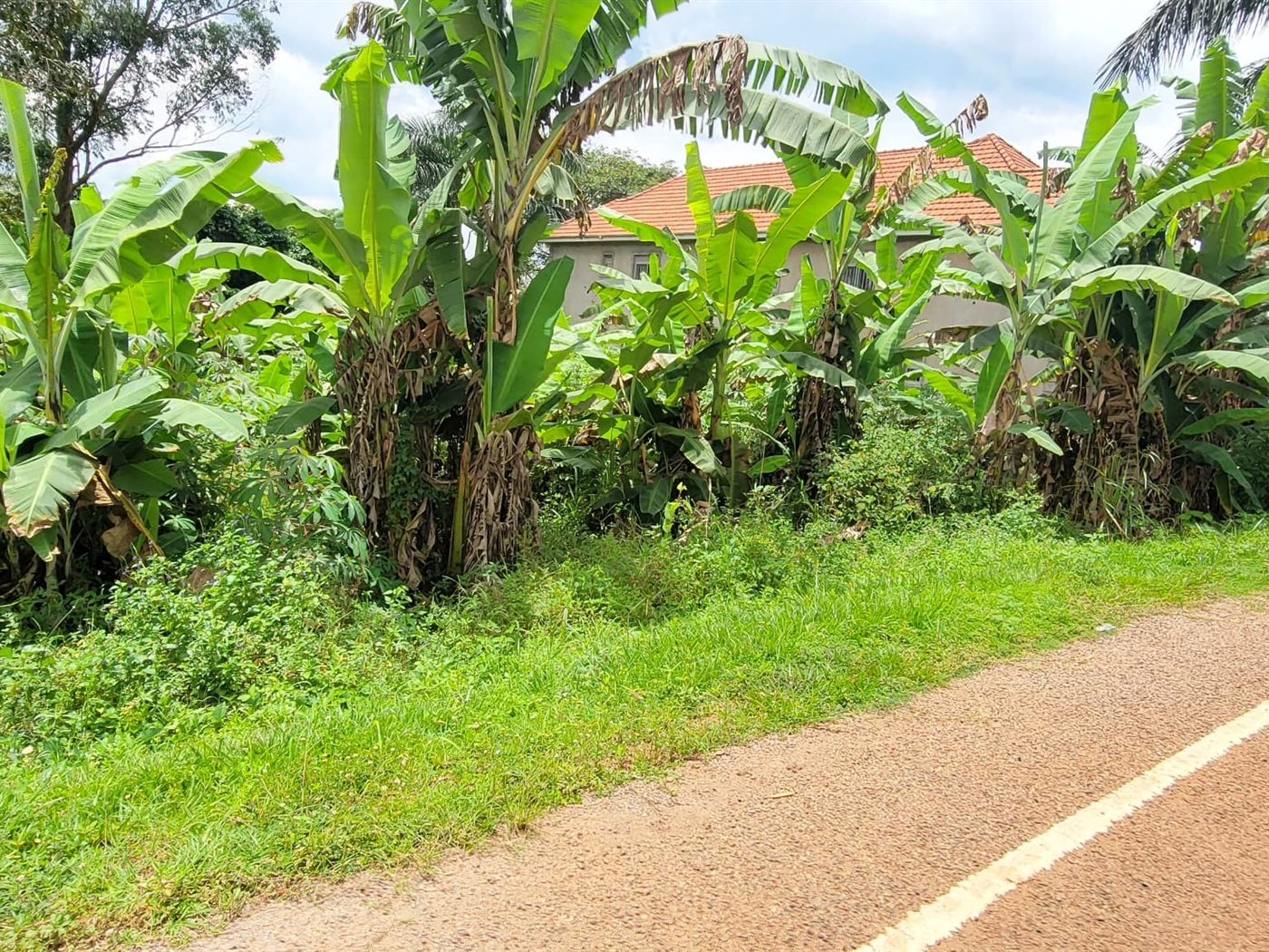 Residential land for sale in Bwebajja Wakiso Ugand...