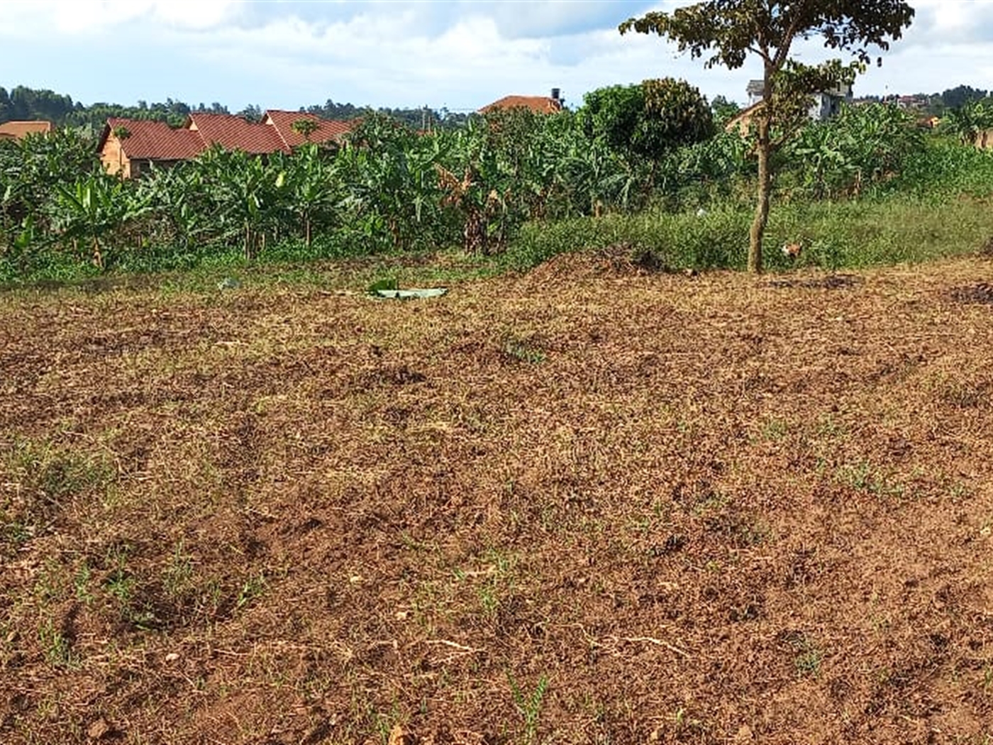 Residential land for sale in Nsansa Wakiso Uganda
