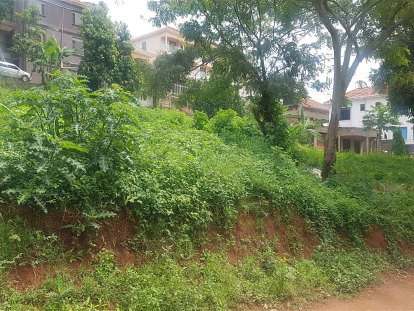 Residential land for sale in Nalumunye Wakiso Uganda