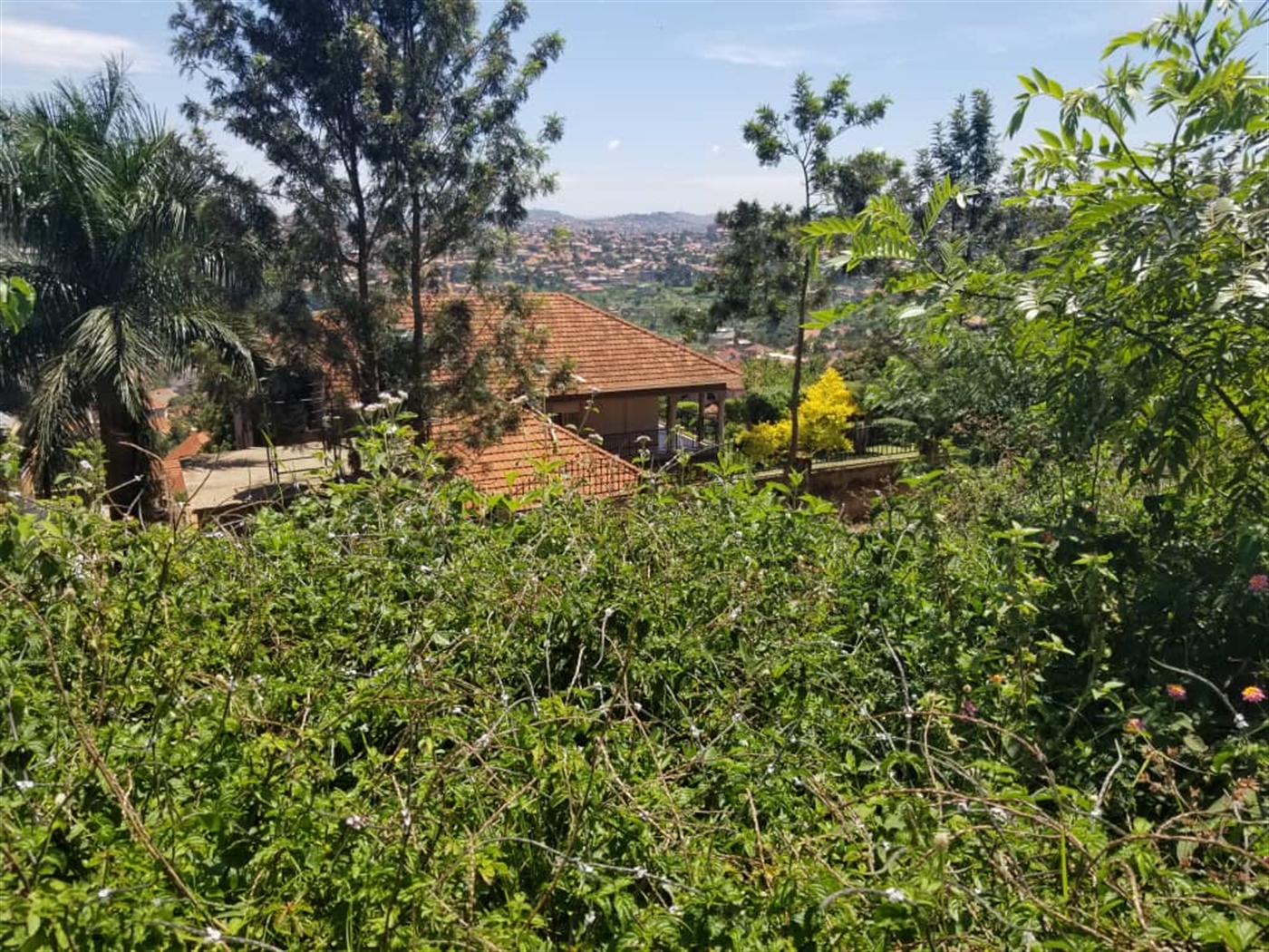 Residential land for sale in Nalumunye Wakiso Uga...