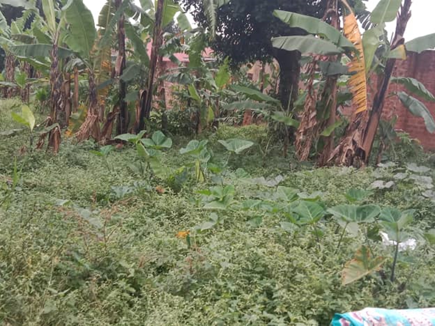 Residential land for sale in Kawempe Kampala Uganda