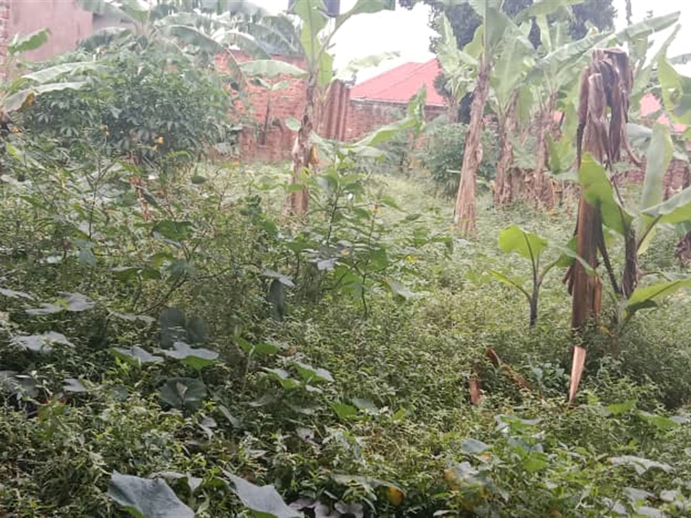 Residential land for sale in Kawempe Kampala Ugand...