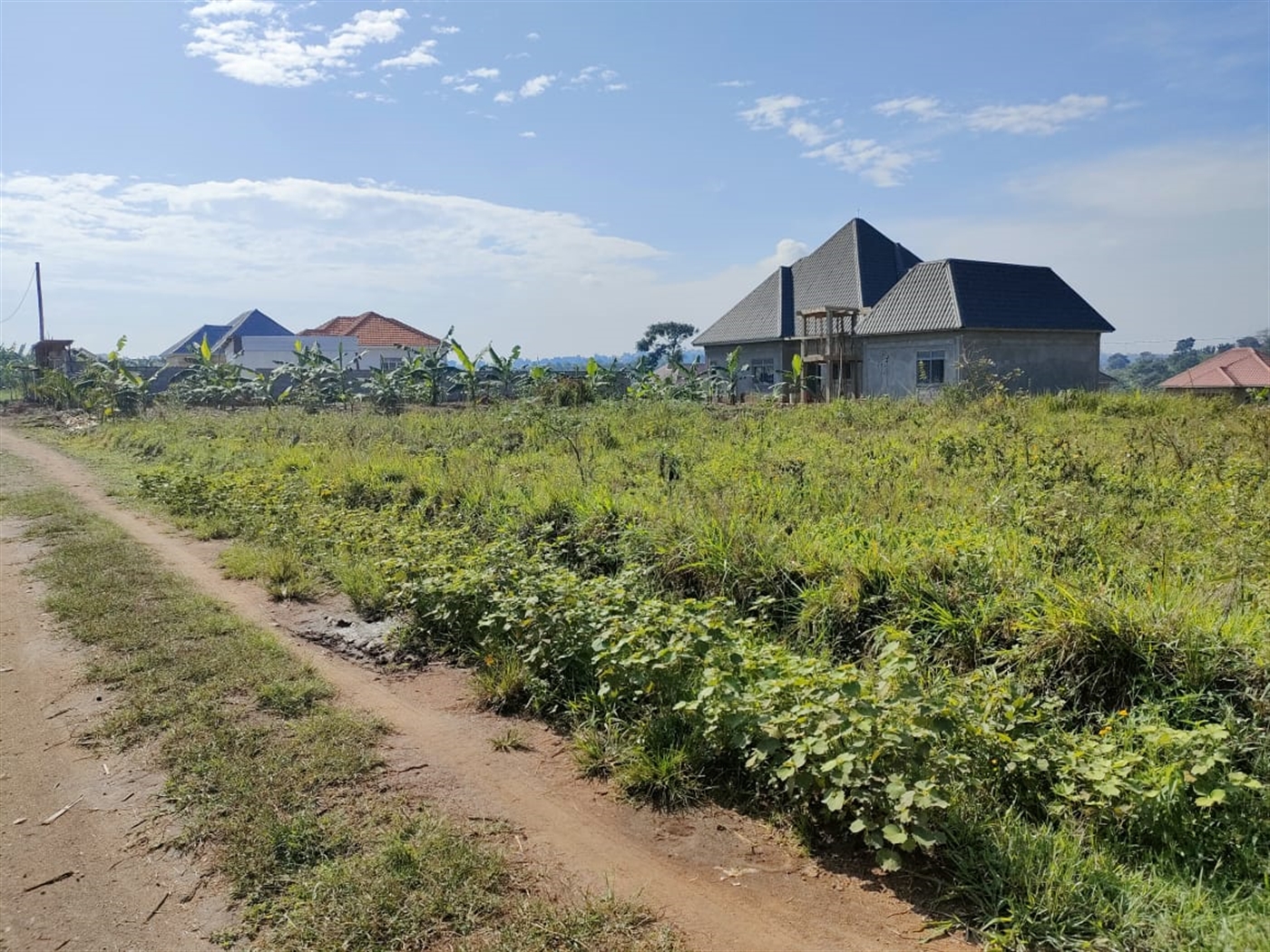 Residential land for sale in Namusela Wakiso Ugand...