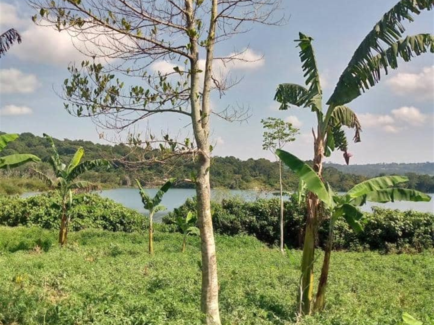 Residential land for sale in Nansagazi Jinja Uganda
