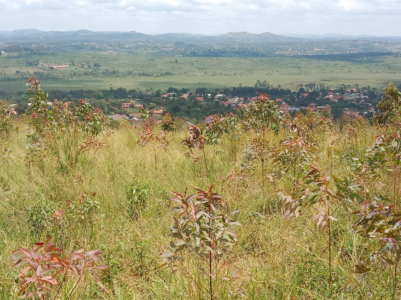 Residential land for sale in Maya Mpigi Uganda