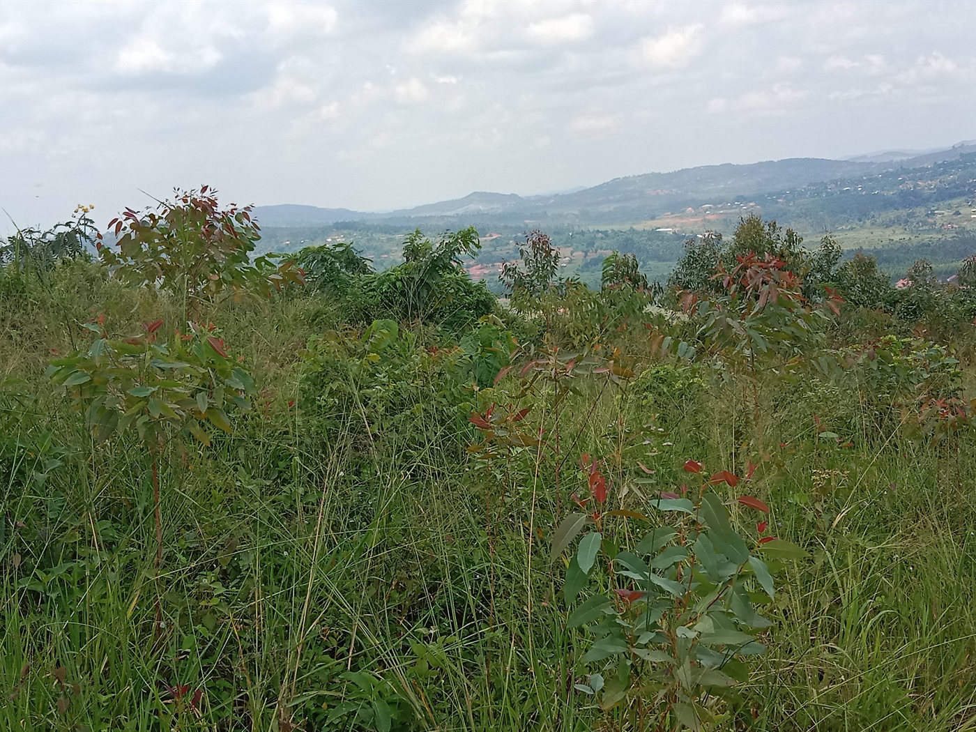 Residential land for sale in Maya Mpigi Uganda