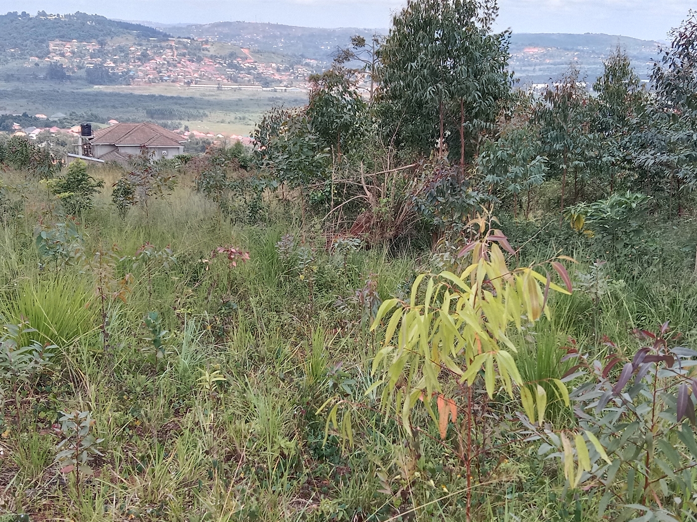 Residential land for sale in Maya Mpigi Uganda