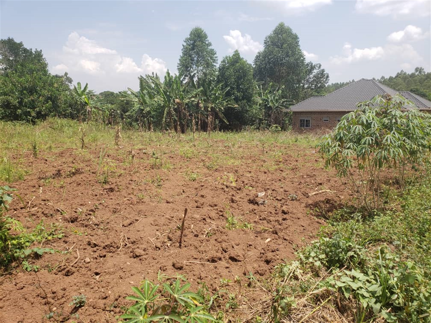 Residential land for sale in Mpoma Mukono Uganda