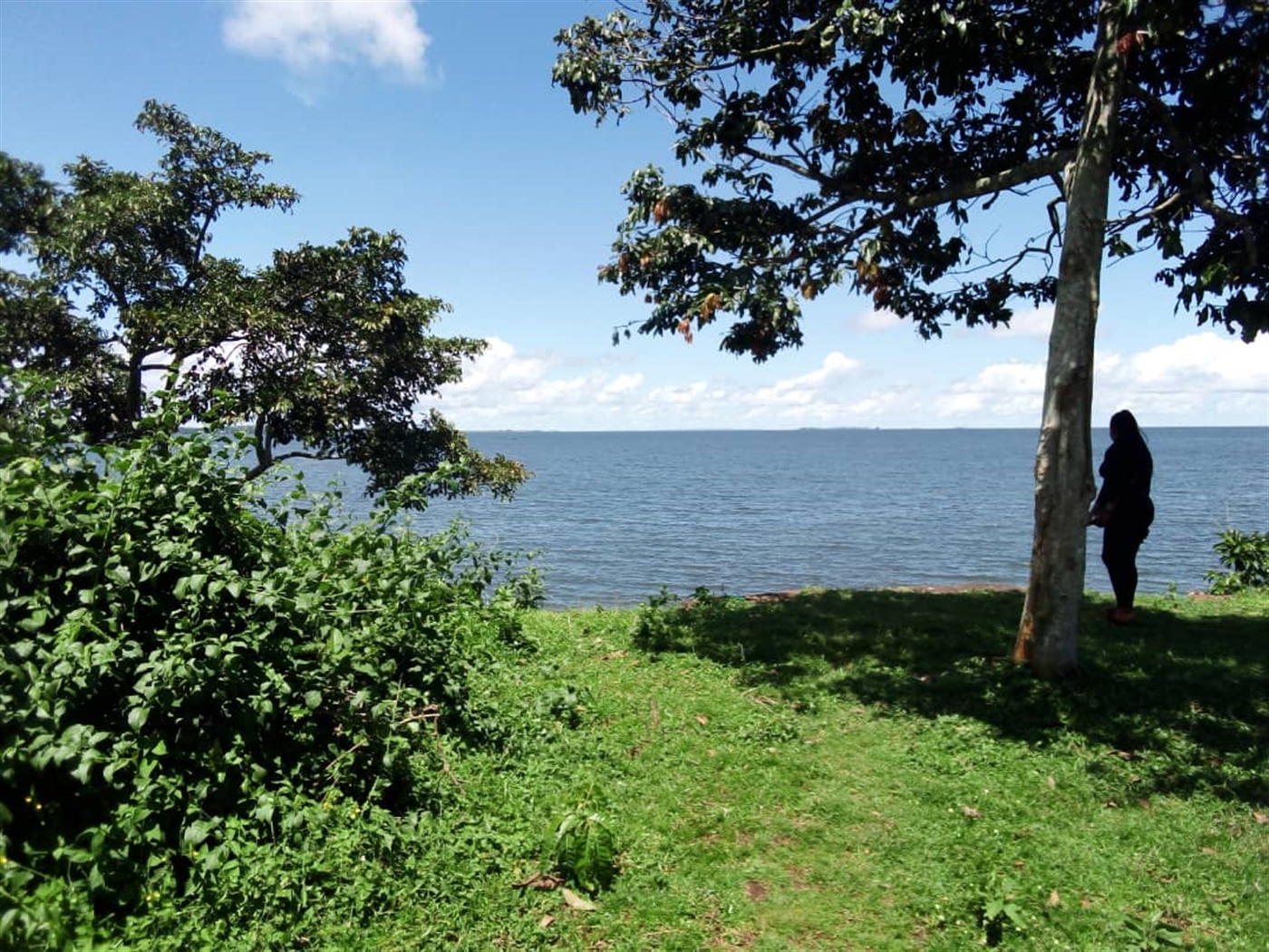 Residential land for sale in Kasanjje Wakiso Ugand...