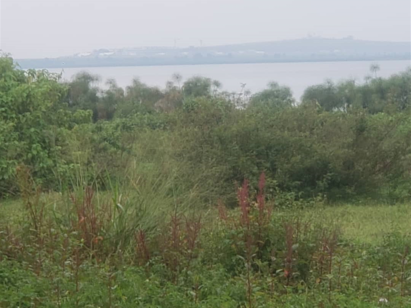 Residential land for sale in Kasanjje Wakiso Ugan...