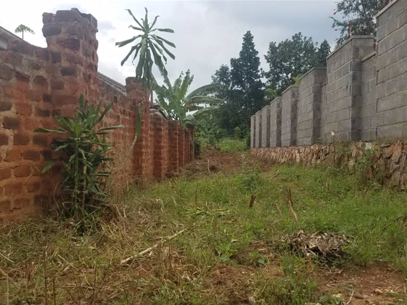 Residential land for sale in Kasangati Wakiso Uganda