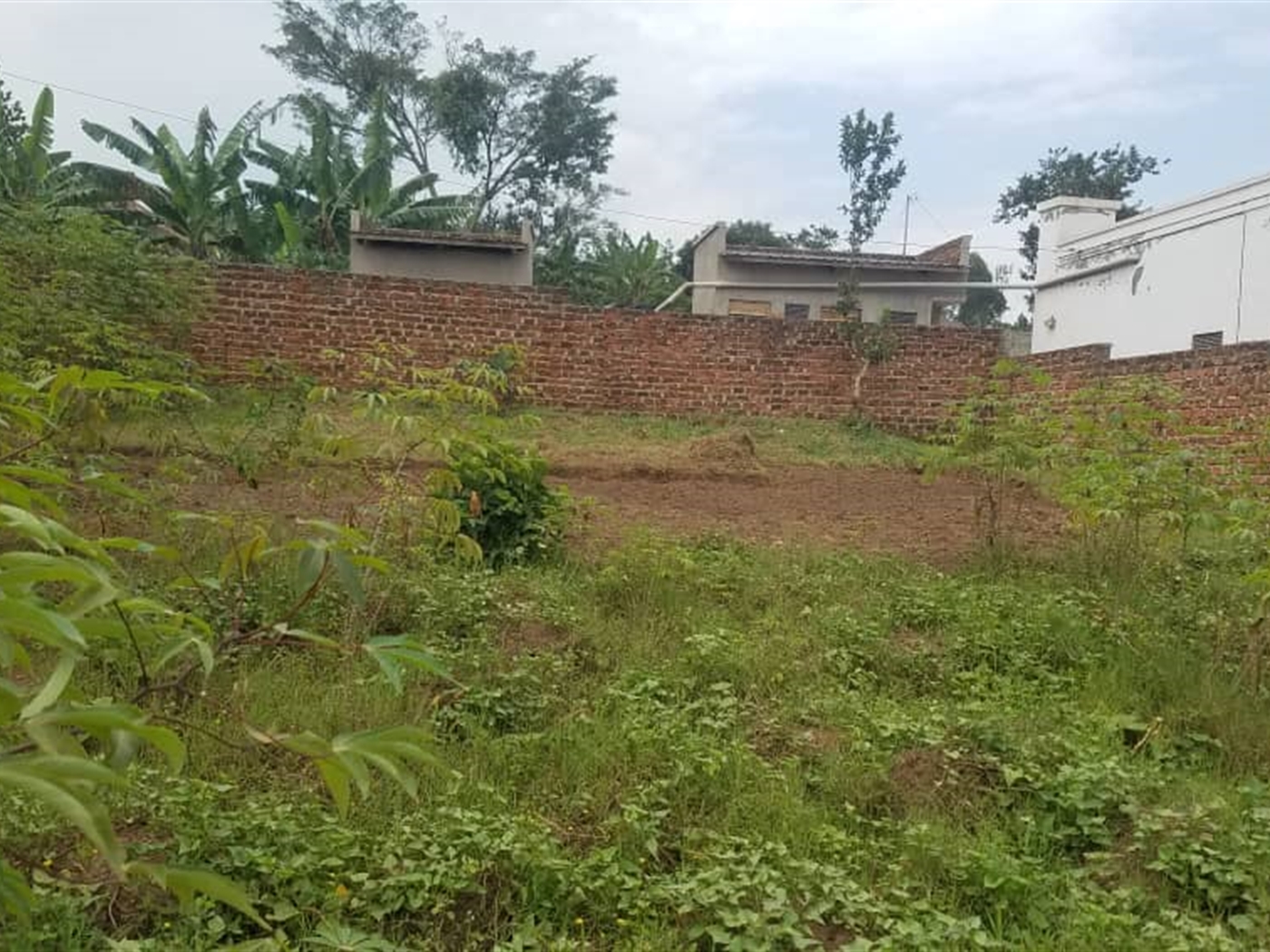 Residential land for sale in Kasangati Wakiso Uganda