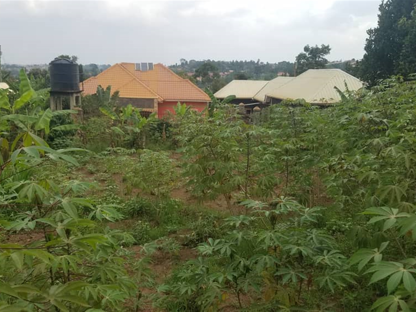 Residential land for sale in Kasangati Wakiso Ugan...