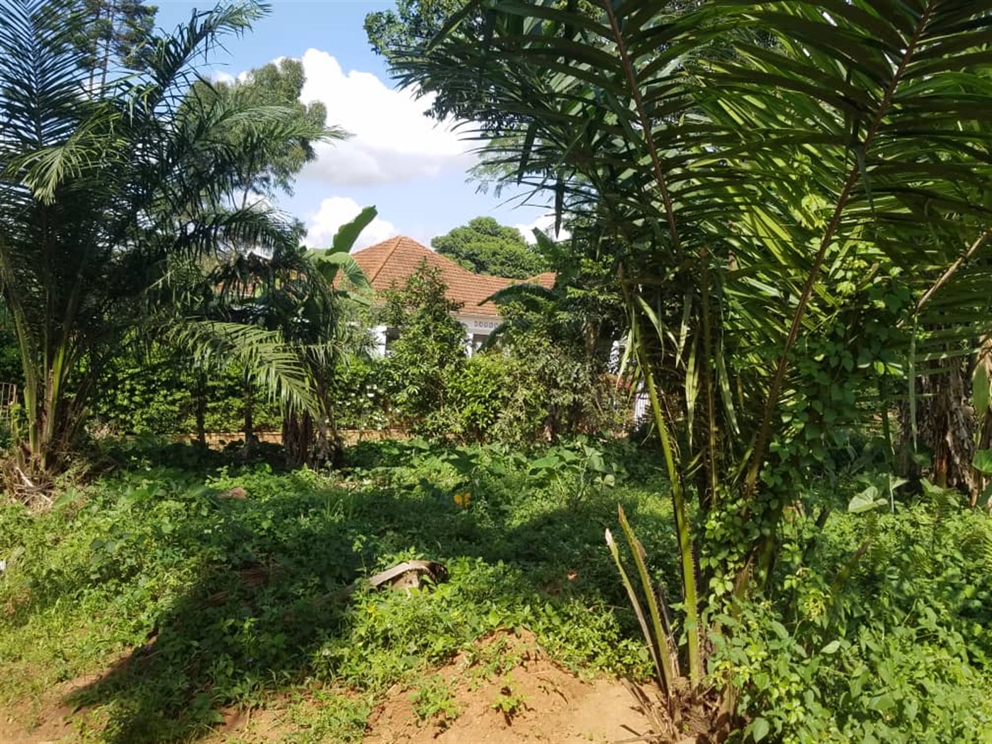 Residential land for sale in Kasangati Wakiso Ugan...