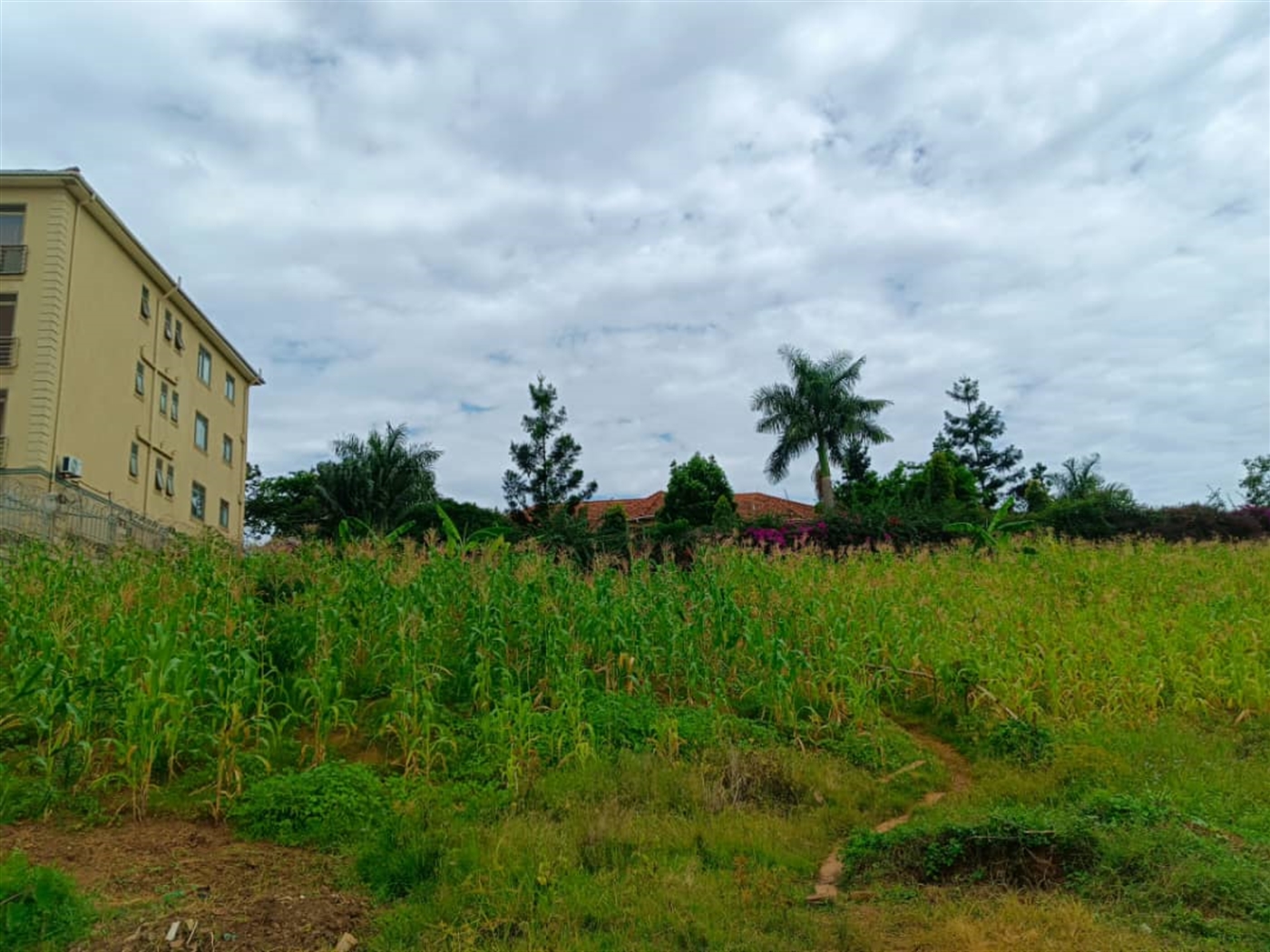Commercial land for sale in Bbunga Kampala Uganda