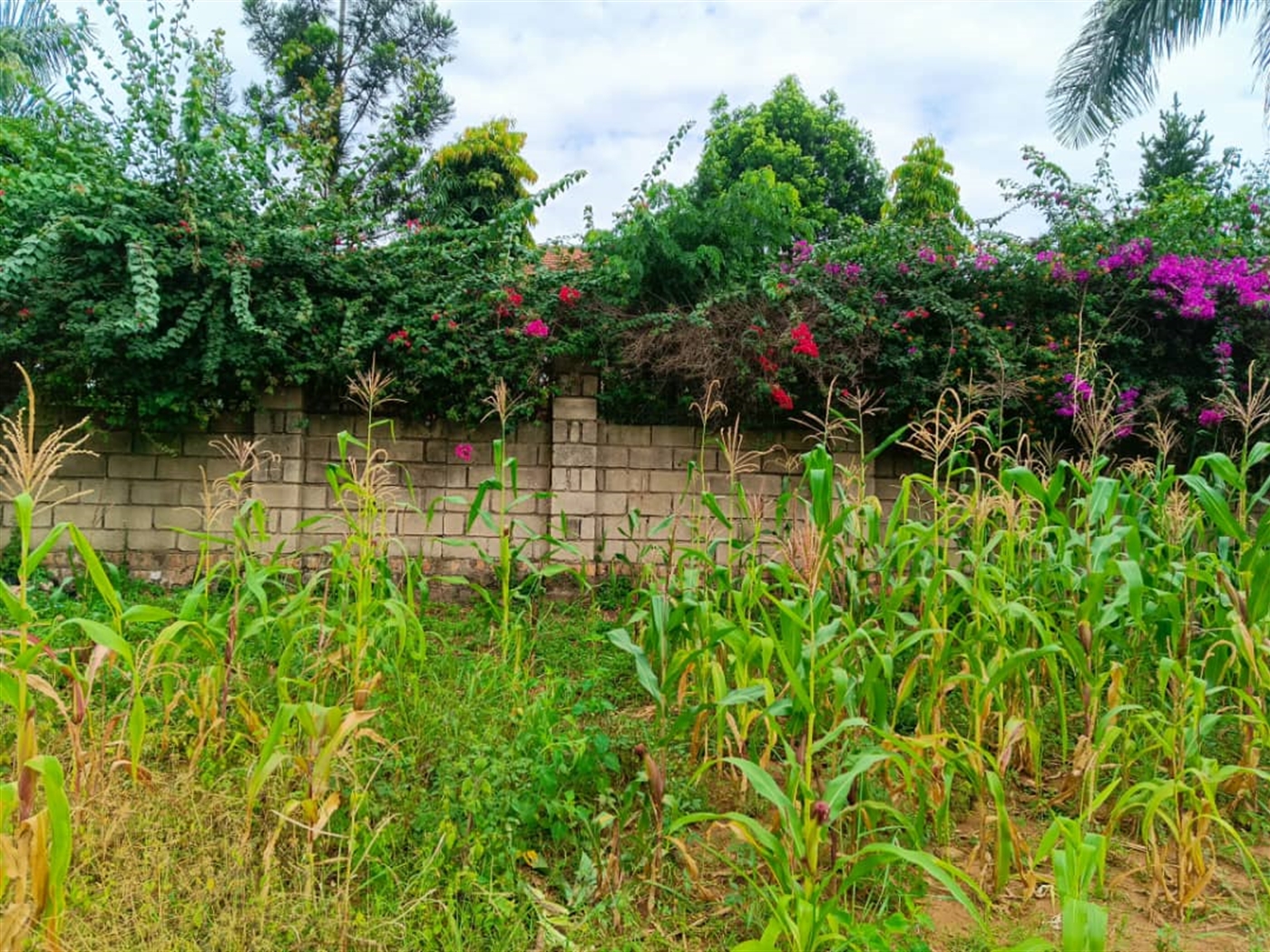 Commercial land for sale in Bbunga Kampala Uganda