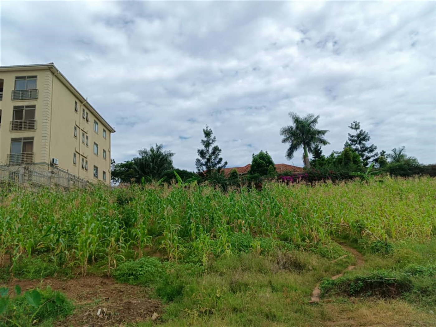 Commercial land for sale in Bbunga Kampala Uganda