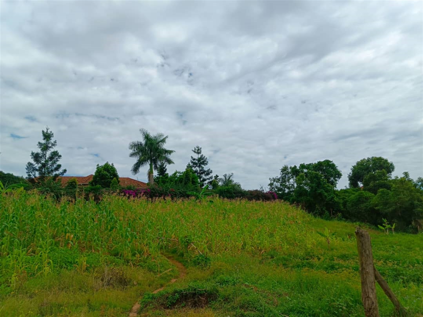 Commercial land for sale in Bbunga Kampala Uganda