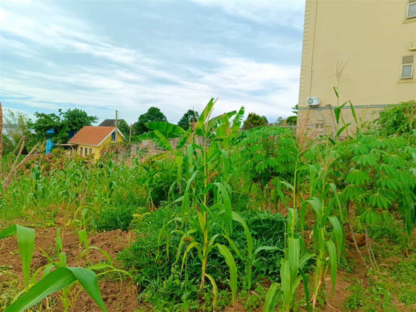 Commercial land for sale in Bbunga Kampala Uganda