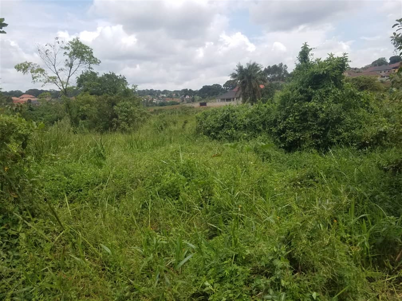 Residential land for sale in Kasangati Wakiso Ugan...