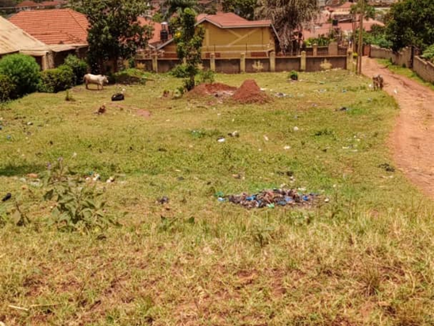 Commercial land for sale in Bbunga Kampala Uganda