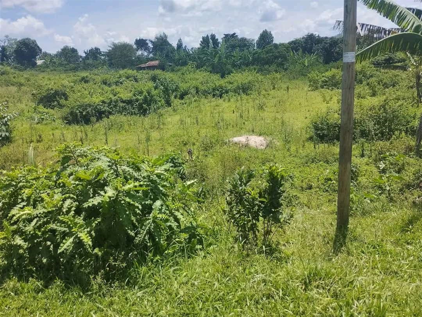 Residential land for sale in Buwalula Mityana Uganda