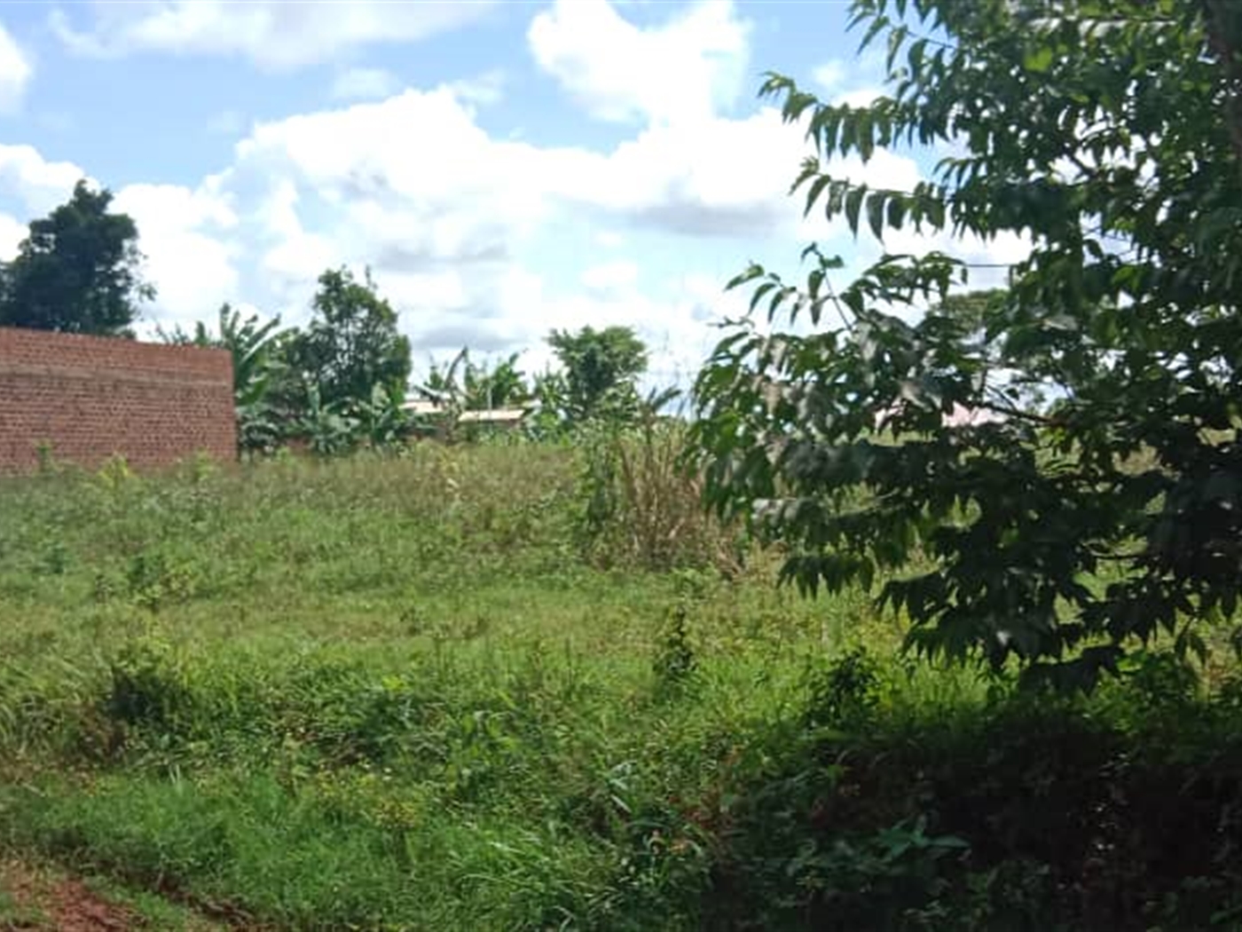 Agricultural land for sale in Kasanjje Wakiso Ugan...